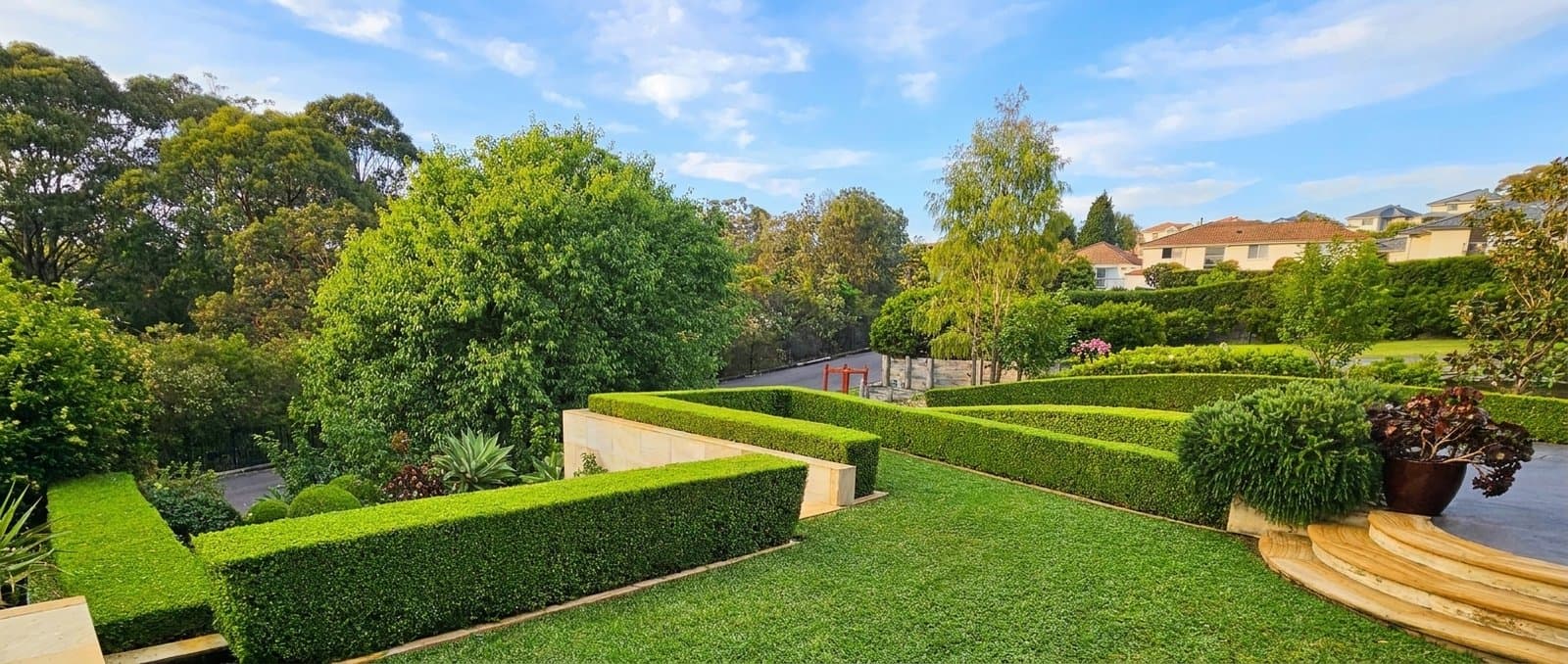 Garden maintenance on the Northern Beaches, terraced hedges and manicured lawn by Lets Get Gardening